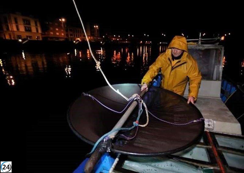 Grupo conservador Eguzki solicita la eliminación de las angulas en la víspera de San Sebastián por riesgo de extinción.