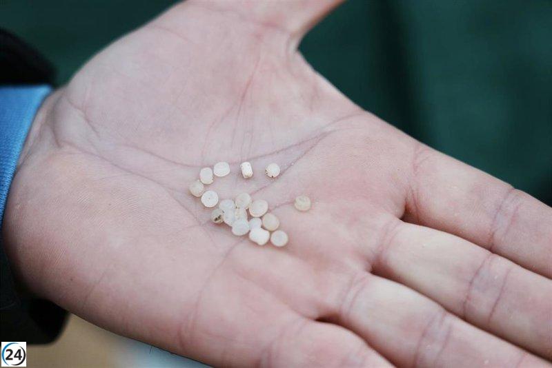 Toconao bajo sospecha: Tapia advierte que plásticos hallados podrían ser suyos y no descarta ninguna hipótesis