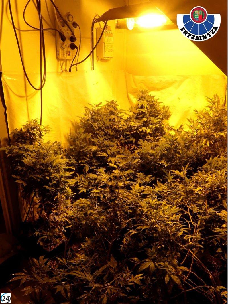 Dos individuos detenidos en Bilbao por la Ertzaintza en operativo antidrogas iniciado en octubre.