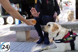 Exigen evitar distracciones alimentarias a perros guía de la ONCE en Euskadi