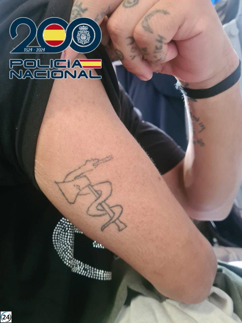 Deportan al joven arrestado por dibujar grafitis pro-ETA en Sodupe.