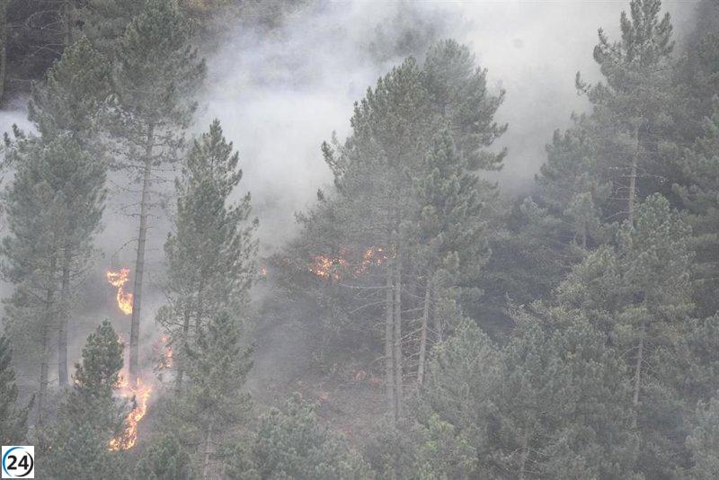 La Diputación de Álava confirma la continuidad de la prohibición de uso del fuego.