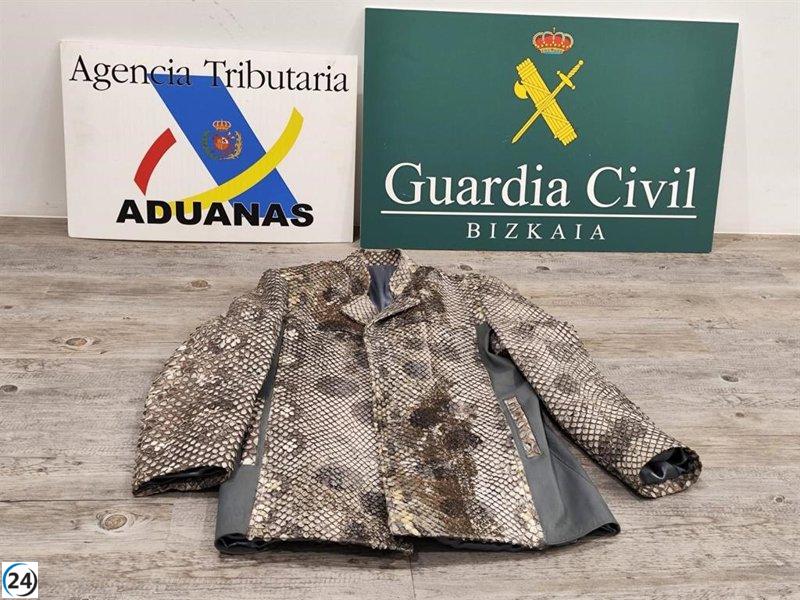 Aprehenden en aeropuerto de Bilbao a individuo con chaqueta de piel de Anaconda Gigante, especie protegida.