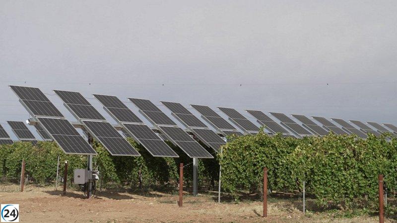Iberdrola impulsa la agricultura sostenible en Álava con su primera planta agrovoltaica para el cultivo de manzanas en Euskadi.