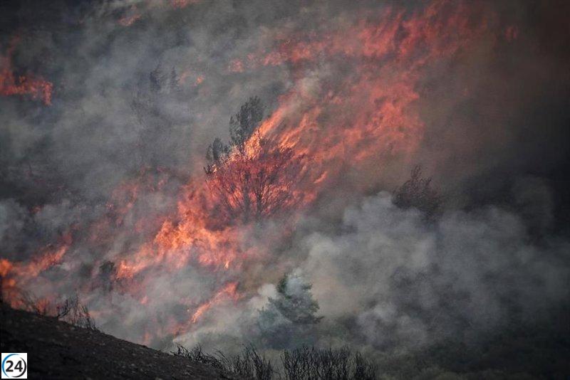 Zupiria califica el operativo vasco en Castilla y León como inédito y crítico.