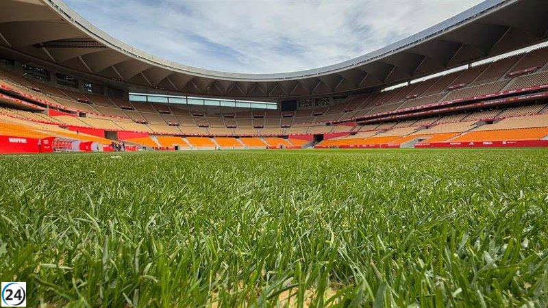 Restricción en La Cartuja tras incidentes xenófobos hacia el Athletic.
