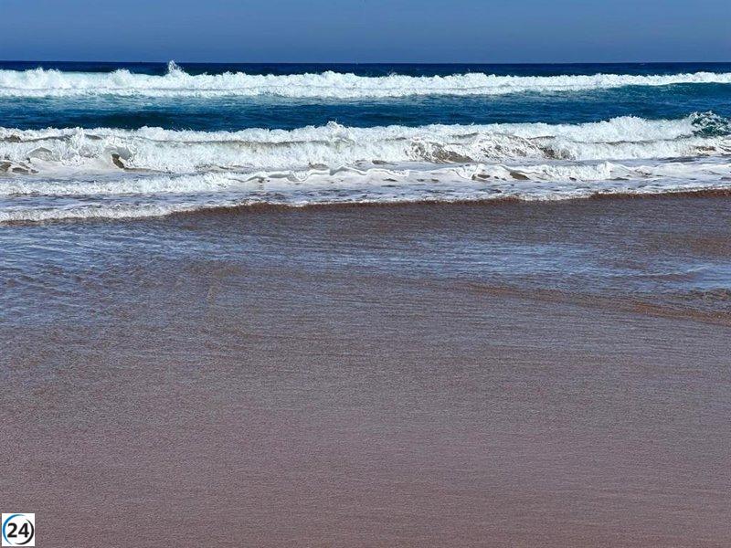 Todas las playas de Bizkaia permiten el baño, excepto en Toña (Sukarrieta), sin avistamiento de medusas.