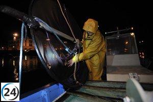 Gobierno Vasco detiene la temporada de pesca de angulas 2025-2026 por la alarmante situación de la especie.
