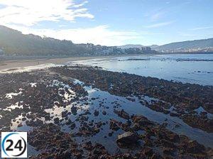 Euskadi experimenta un miércoles soleado y caliente con vientos intensos.