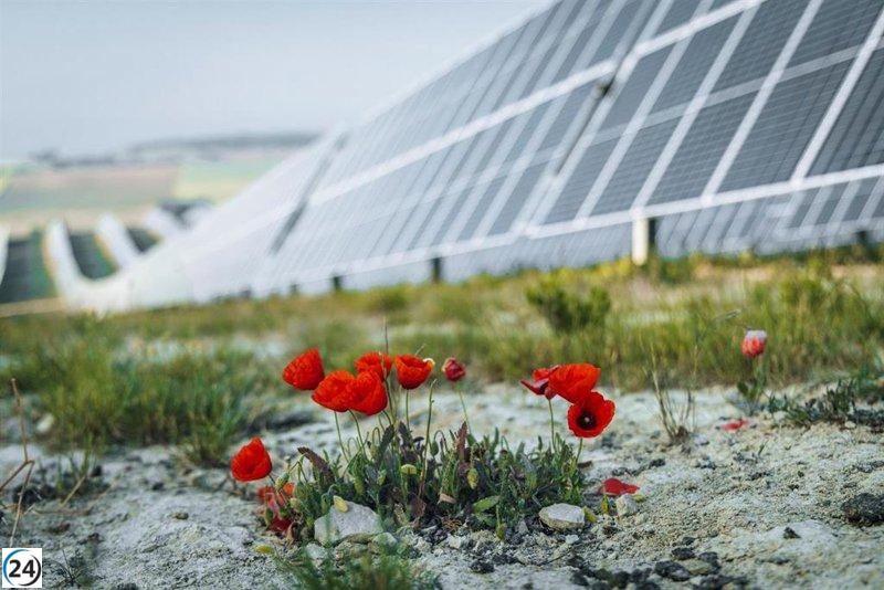 Euskadi aprueba planpara renovables con 110 ubicaciones para parques eólicos y solares.