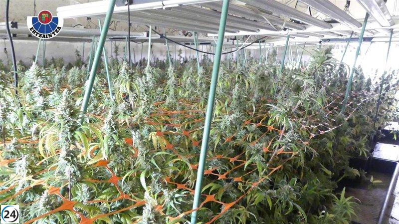 La policía vasca desmantela plantación de marihuana en Barakaldo.