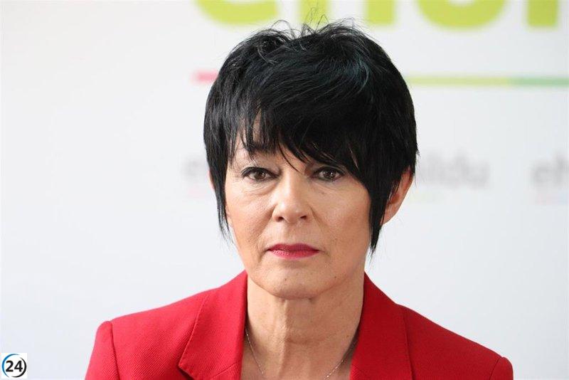 Iriarte de EH Bildu critica gobierno gipuzkoano dependiente del PP