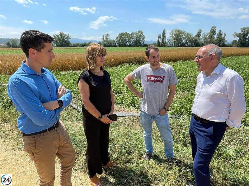 La Diputación de Álava ofrece ayuda económica al sector agrícola afectado por el granizo.