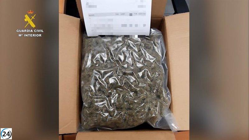 Once personas de Bizkaia investigadas por traficar drogas mediante envíos de paquetería
