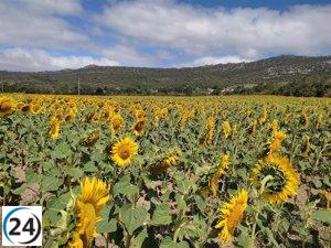 Importante convocatoria en Bilbao reúne a 300 expertos para debatir la protección integral del suelo en Soiluzioak 2023.