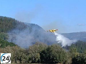 Precaución: Alerta activada por peligro de incendios en áreas boscosas este viernes