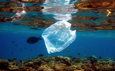 El País Vasco se suma a la lucha contra el uso de plásticos
