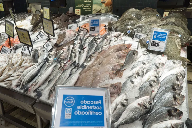 La pesca sostenible, una apuesta del País Vasco por el medio ambiente
