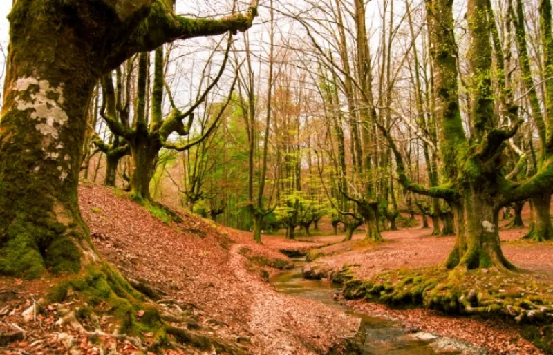 El Parque Natural de Gorbeia, un tesoro natural del País Vasco