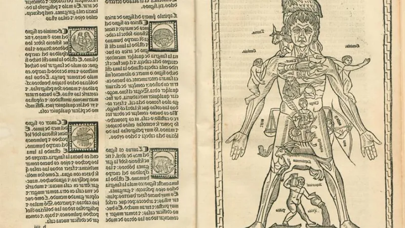 El papel del euskera en la sociedad vasca