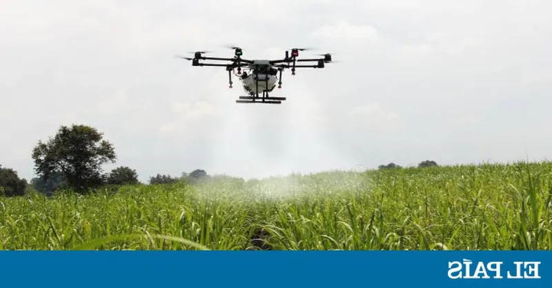 La IA está transformando la agricultura en el País Vasco